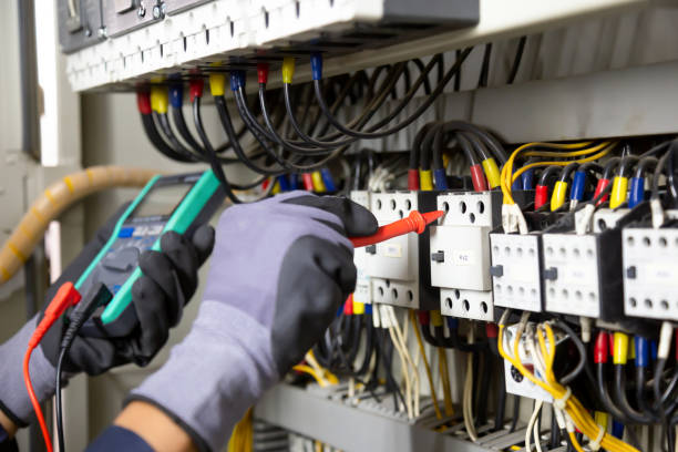 Best Electrical Panel Upgrades  in Gramercy, LA